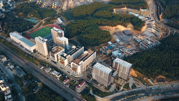 1号彩1086 - 首页